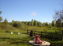 DSC00225